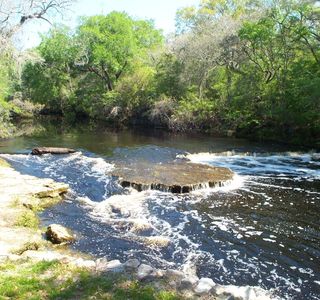 Steinhatchee River