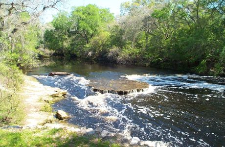 Steinhatchee River
