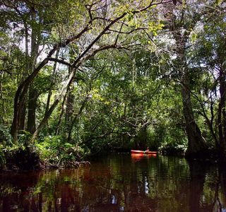 Loxahatchee River