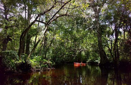 Loxahatchee River