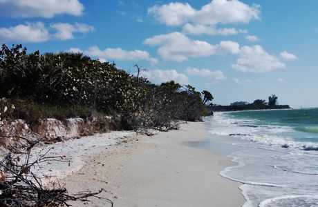 Barefoot Beach Preserve