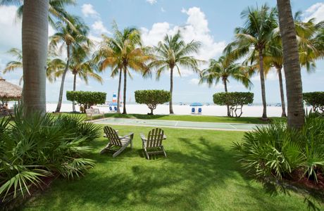 Paradise Tropical Wines