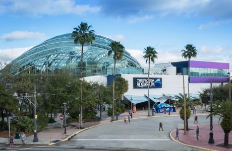 The Florida Aquarium