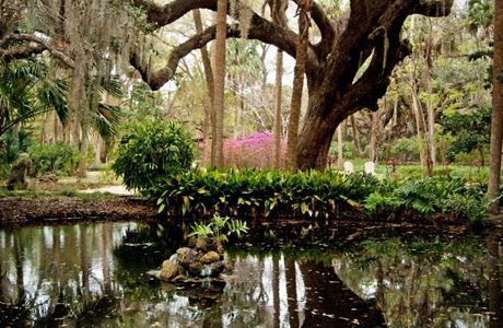 Washington Oaks Gardens State Park