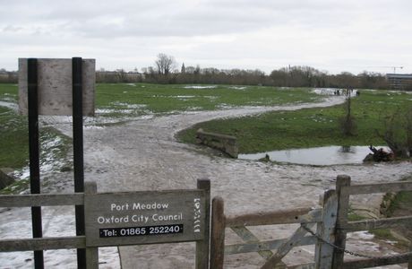 Port Meadow