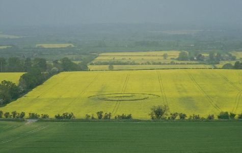 The Ridgeway National Trail 1