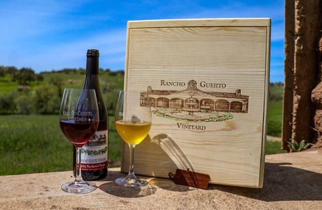 Rancho Guejito Vineyard