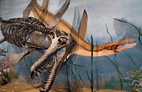 Glendive Dinosaur & Fossil Museum