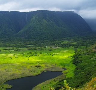 Waipi'o Valley