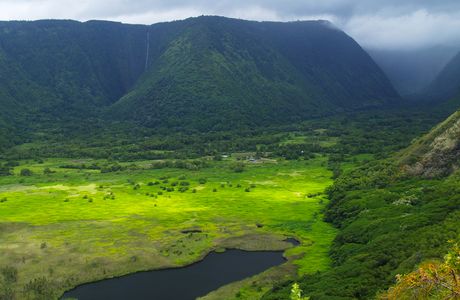 Waipi'o Valley