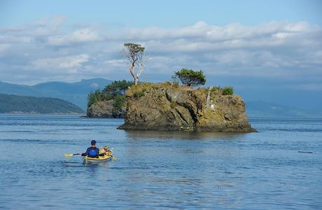 Cypress Island