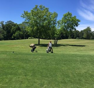 V Golf