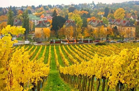 Höhere Bundeslehranstalt und Bundesamt für Wein- und Obstbau