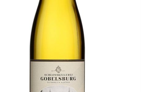Familienweingut Hoefinger - Rebstockgrill