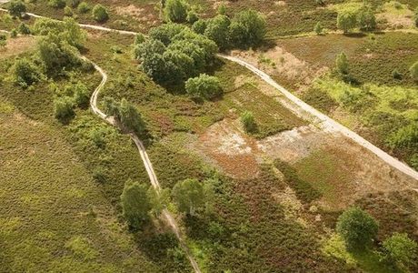 Hoge Kempen National Park