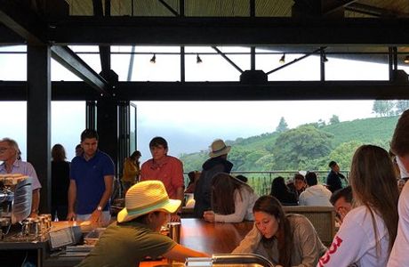 Hacienda Alsacia Starbucks Coffee Farm