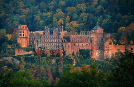 Schloss Heidelberg