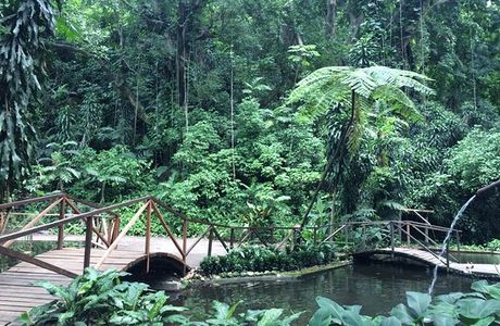 Jardin Botanico La Laguna