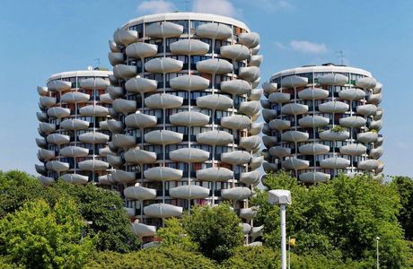 Choux de Creteil
