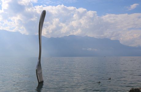 The Fork