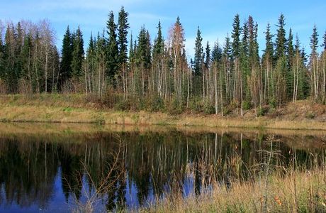 Wedgewood Wildlife Sanctuary