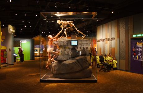 Denver Museum of Nature & Science