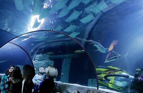 Sea Life Aquarium
