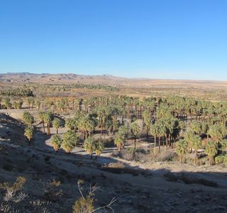 Moapa Valley National Wildlife Refuge