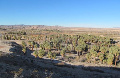 Moapa Valley National Wildlife Refuge