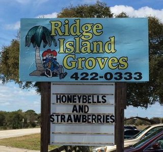 Ridge Island Groves