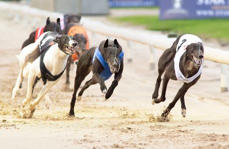Nottingham Greyhound Stadium