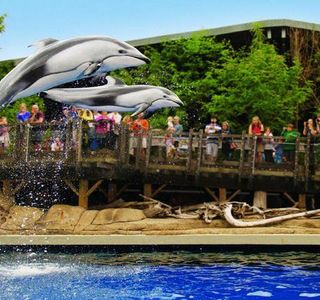 Tateshina Amusement Aquarium