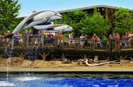 Tateshina Amusement Aquarium