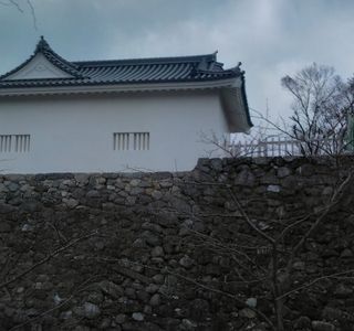 Kameyama Castle Remains