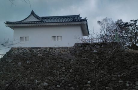 Kameyama Castle Remains