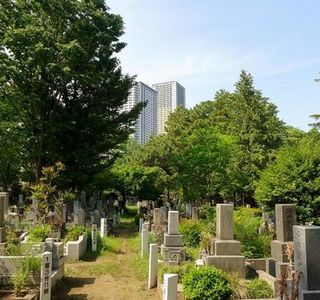 Zoshigaya Cemeteries