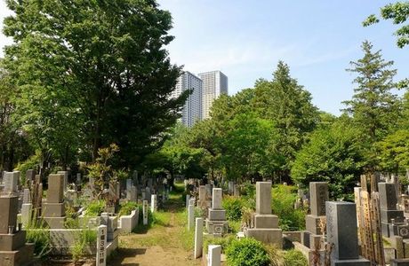 Zoshigaya Cemeteries