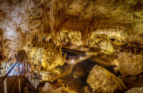 Fish Cavern