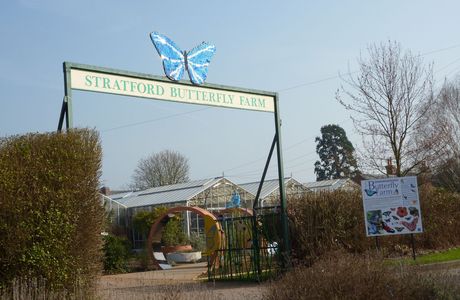 Stratford-upon-Avon Butterfly Farm