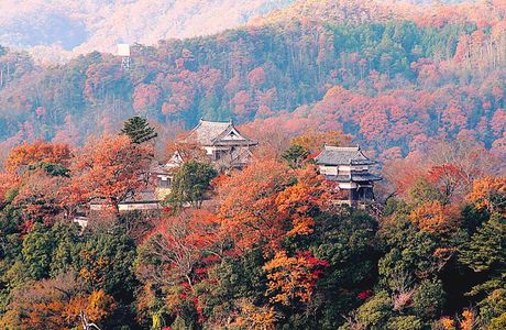 Matsumoto Farm All Icgigo House