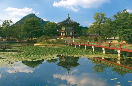 Korean Garden