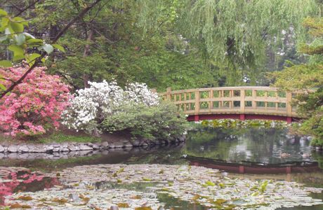 Takayama Botanical Garden