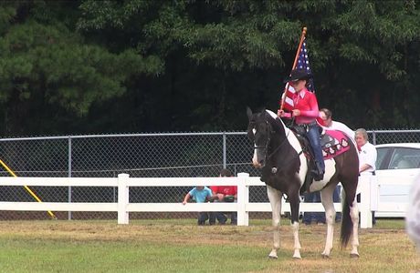 Dryland Memorial and Horse Troughs