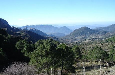 Sendero Puerto de las Presillas