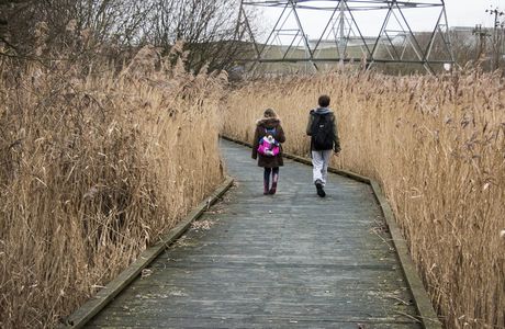 Berengrave Nature Reserve
