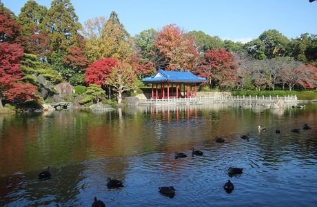Daisen Park Japanese Garden