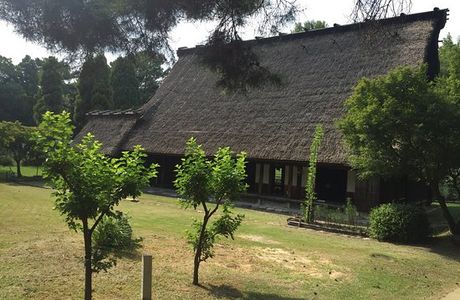 Hattori Ryokuchi Park