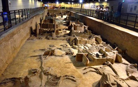 Luoyang Museum 1
