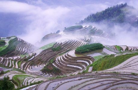 Inagura Rice Terraces