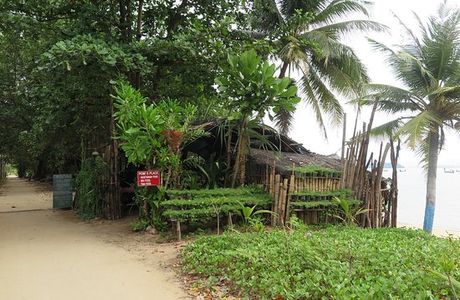 Wat Ko Phayam